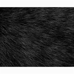Black Cat Fur Collage 8  X 10  by trendistuff