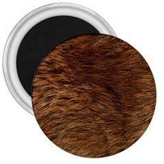 BEAR FUR 3  Magnets