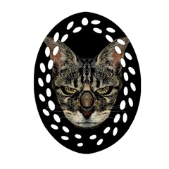 Angry Cyborg Cat Ornament (oval Filigree)  by dflcprints