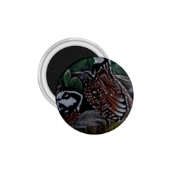 Bobwhite Quails 1.75  Magnets