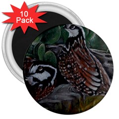 Bobwhite Quails 3  Magnets (10 pack) 