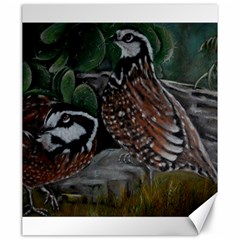 Bobwhite Quails Canvas 20  x 24  