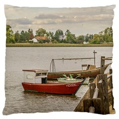 Santa Lucia River In Montevideo Uruguay Large Flano Cushion Cases (one Side)  by dflcprints