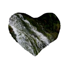 Water Overflow Standard 16  Premium Heart Shape Cushions by trendistuff