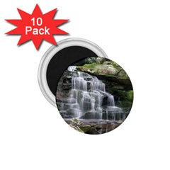Elakala Falls 1 75  Magnets (10 Pack)  by trendistuff