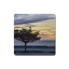 Sunset Scene At Boardwalk In Montevideo Uruguay Square Magnet by dflcprints