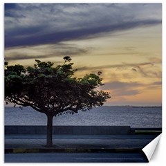 Sunset Scene At Boardwalk In Montevideo Uruguay Canvas 12  X 12   by dflcprints