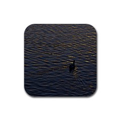 Lonely Duck Swimming At Lake At Sunset Time Rubber Coaster (square)  by dflcprints