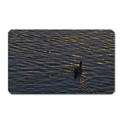 Lonely Duck Swimming At Lake At Sunset Time Magnet (rectangular) by dflcprints