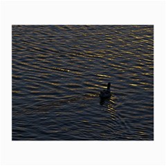 Lonely Duck Swimming At Lake At Sunset Time Small Glasses Cloth (2-side) by dflcprints