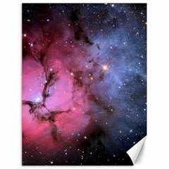 Trifid Nebula Canvas 18  X 24   by trendistuff