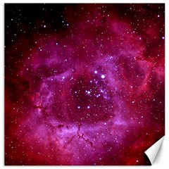 Rosette Nebula 1 Canvas 16  X 16   by trendistuff