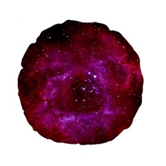 ROSETTE NEBULA 1 Standard 15  Premium Flano Round Cushions