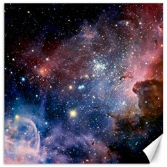 Carina Nebula Canvas 16  X 16   by trendistuff