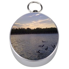 Intercoastal Seagulls 3 Silver Compasses