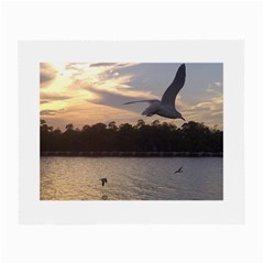 Intercoastal Seagulls 4 Small Glasses Cloth (2-side) by Jamboo