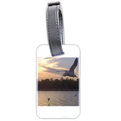 Intercoastal Seagulls 4 Luggage Tags (two Sides) by Jamboo