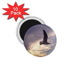 Seagull 1 1 75  Magnets (10 Pack) 