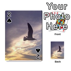 Fly Seagull Playing Cards 54 Designs 