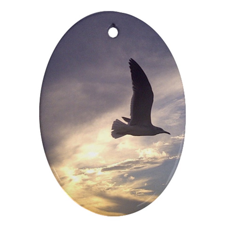 Fly Seagull Oval Ornament (Two Sides)