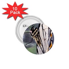 Butterfly 1 1.75  Buttons (10 pack)