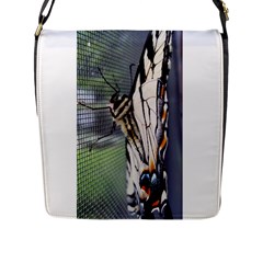 Butterfly 1 Flap Messenger Bag (L) 