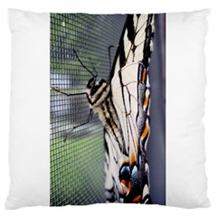 Butterfly 1 Large Flano Cushion Cases (one Side) 
