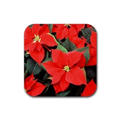 Poinsettia Rubber Coaster (square)  by trendistuff