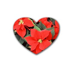 Poinsettia Heart Coaster (4 Pack)  by trendistuff