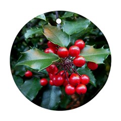 Holly 1 Ornament (round)  by trendistuff