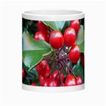 HOLLY 1 Morph Mugs Center