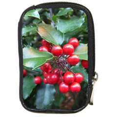 Holly 1 Compact Camera Cases by trendistuff