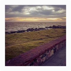 Playa Verde Coast In Montevideo Uruguay Medium Glasses Cloth by dflcprints