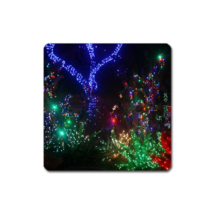 CHRISTMAS LIGHTS 2 Square Magnet