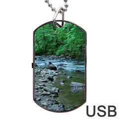 Rocky Stream Dog Tag Usb Flash (two Sides)  by trendistuff