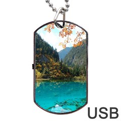 Jiuzhaigou Valley 3 Dog Tag Usb Flash (one Side) by trendistuff