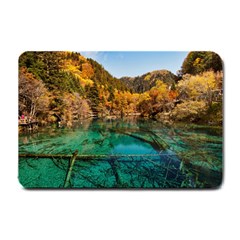 Jiuzhaigou Valley 1 Small Doormat  by trendistuff