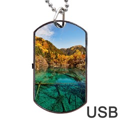 Jiuzhaigou Valley 1 Dog Tag Usb Flash (two Sides)  by trendistuff