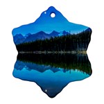 HERBERT LAKE Snowflake Ornament (2-Side) Front