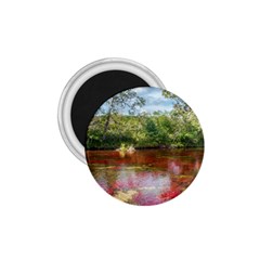 Cano Cristales 3 1 75  Magnets by trendistuff