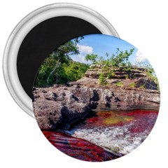 Cano Cristales 2 3  Magnets by trendistuff