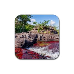 Cano Cristales 2 Rubber Coaster (square)  by trendistuff