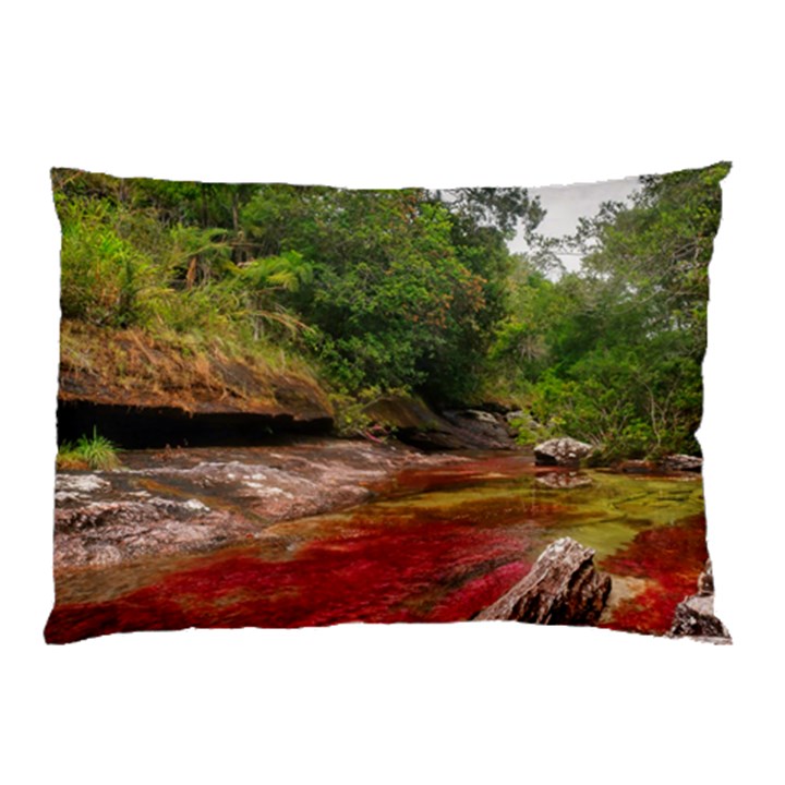 CANO CRISTALES 1 Pillow Cases (Two Sides)