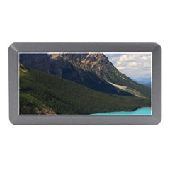 Banff National Park 3 Memory Card Reader (mini)