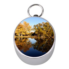 Autumn Lake Mini Silver Compasses