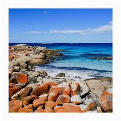 Bay Of Fires Medium Glasses Cloth by trendistuff