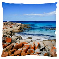 Bay Of Fires Standard Flano Cushion Cases (two Sides)  by trendistuff