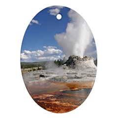 Yellowstone Castle Oval Ornament (two Sides) by trendistuff