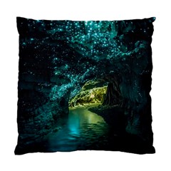 Waitomo Glowworm Standard Cushion Case (one Side)  by trendistuff