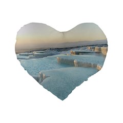 Travertine Pools Standard 16  Premium Flano Heart Shape Cushions by trendistuff